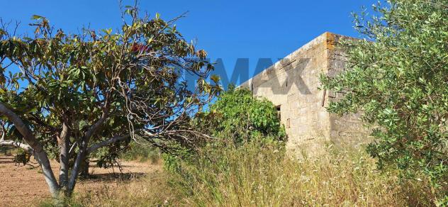 Terreno in vendita a Noto - Foto 9
