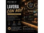 Barman / addetto banco pub