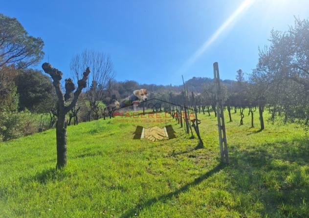 Orvieto - Casaletto con terreno nelle immediate vicinanze di Orvieto - Foto 3