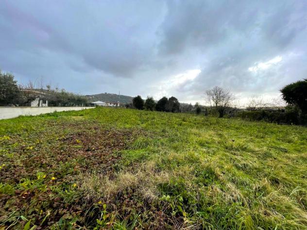 Agricolo in Via Casaletto - Foto 6