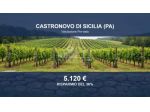 Immobile in asta di 13172 m² in vendita a Castronovo di Sicilia