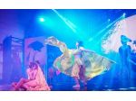 APPASSIONATI DELLO SHOW ? NON CERCHIAMO PERFORMER  MA RAGAZZI CHE AMANO ESEBIRSI