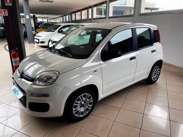Fiat Panda 1.0 70CV HYBRID S&S EASY - CLIMA 5P LOJACK