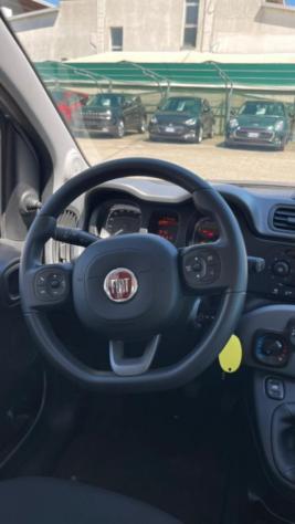 FIAT Panda 1.0 FireFly S&S Hybrid City Life rif. 23773341 - Foto 9