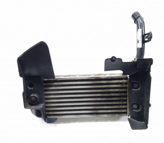 INTERCOOLER LANCIA Ypsilon 4° Serie 51837873 199 B1.000, 312 B1.000 Diesel 1300 (1123) - Foto 10