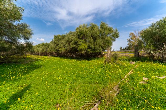 Agricolo in vendita a Catania - Foto 18