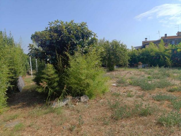 Seminativo in vendita a Cerveteri - Foto 14