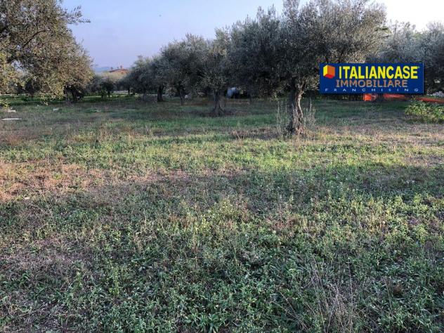 Agricolo in vendita a Città Sant'Angelo - Foto 7