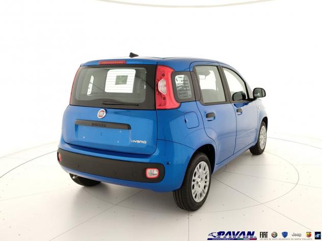 FIAT Pandina Panda 1.0 FireFly 65 CV Hybrid Icon - Foto 3