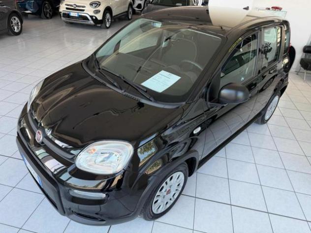 FIAT Panda 1.0 FireFly S&S Hybrid rif. 23751135 - Foto 2