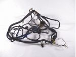 CABLAGGIO APRILIA LEONARDO 150 (1997 - 2002)AP8124632
