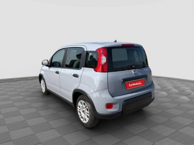 FIAT Panda Panda 1.0 FireFly Hybrid City Life rif. 24026722 - Foto 3
