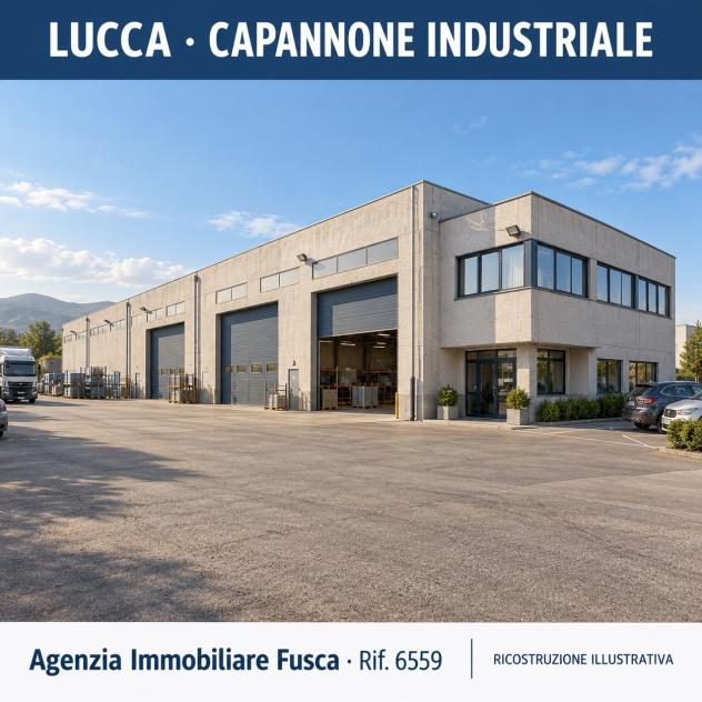 Industriale/Artigianale in vendita a Lucca - Foto 2