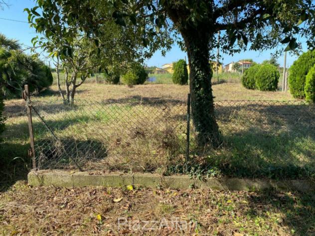Terreno a Codevigo - Rif. COD38 - Foto 6