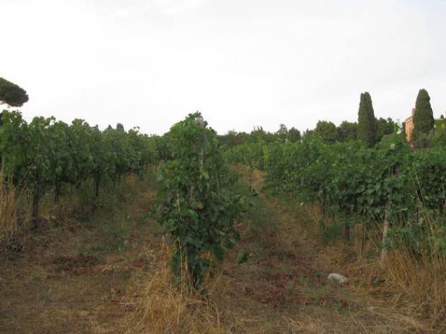 Immobile in asta di 152 m² in vendita a Grottaferrata - Foto 6