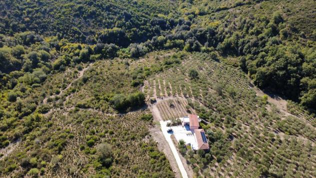 Agricolo in Via Piano Grande - Foto 5