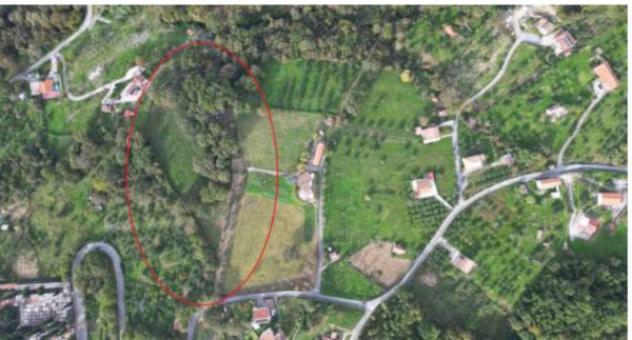 Immobile in asta di 12981 m² in vendita a Rivello - Foto 2