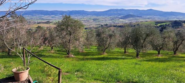Rustico in vendita a Rosignano Marittimo 120 mq Rif: 1215726 - Foto 10