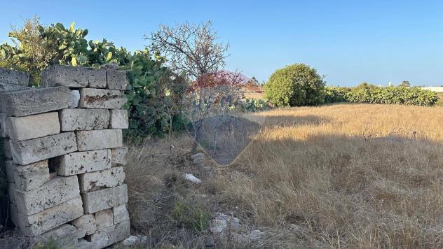 Terreno in vendita a Pachino - Foto 4