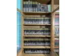 Collezione originale Dylan Dog COMPLETA dal 1986 al 2022
