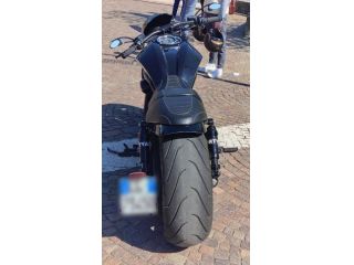 Harley v Rod