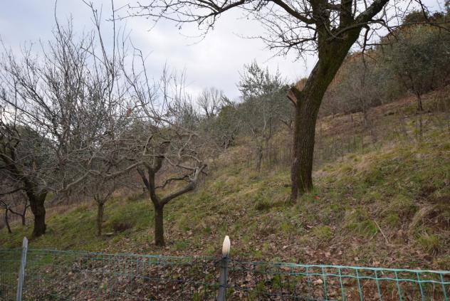TERRENO AGRICOLO di 4807 mq (MONTEBELLUNA) rif. ZT38G_49 - Foto 13