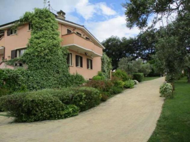 Immobile in asta di 2341 m² con più di 5 locali in vendita a Cepagatti - Foto 9