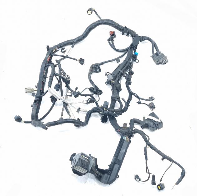 CABLAGGIO ELETTRICO MOTORE FORD EcoSport Serie JN15-12C508-BE SFJL Benzina 1000 (12)