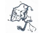 CABLAGGIO ELETTRICO MOTORE FORD EcoSport Serie JN15-12C508-BE SFJL Benzina  &hellip;