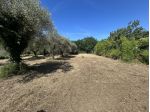 Terreno edificabile in vendita a Luni