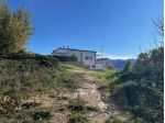 Agricolo in vendita a Segni