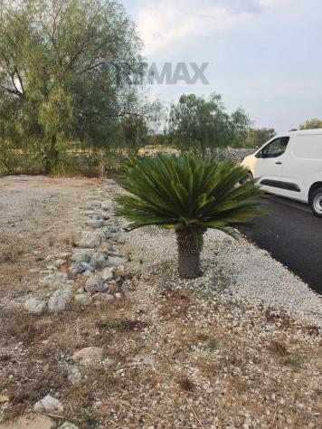 Terreno in vendita a Siracusa, Cassibile - Foto 5