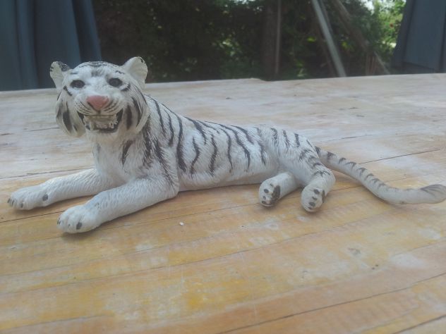 R1 - TIGRE