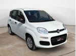 FIAT Panda 1.2 Easy 69 Cv - CHILOMETRAGGIO CERTIFICATO