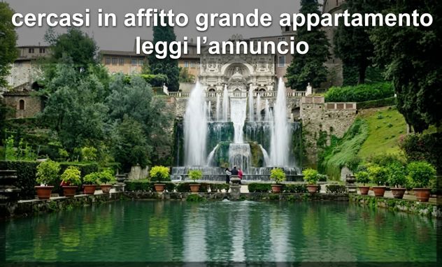 Cercasi in affitto B&amp;B o affittacamere