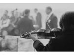 Trio White Notes musica per matrimonio a Biella