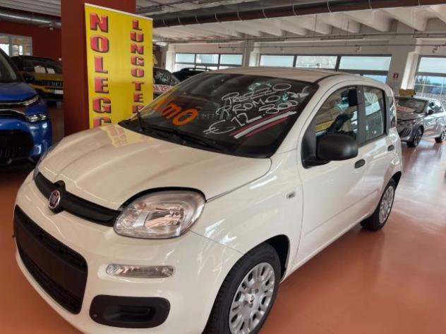 FIAT Pandina 1.0 FireFly 65 CV Hybrid Icon rif. 24091650 - Foto 3