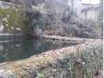Casa singola in vendita a Fivizzano 105 mq  Rif: 874219