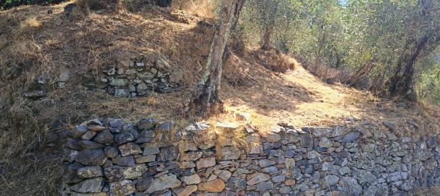 Terreno agricolo in vendita a Calci 7500 mq Rif: 1338268 - Foto 4
