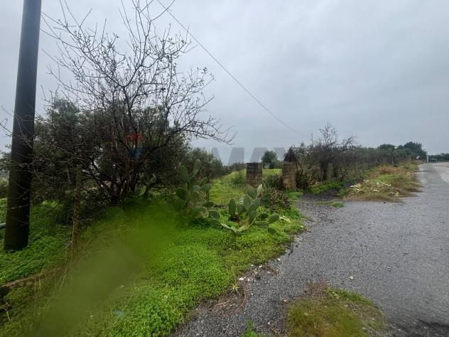 Terreno in vendita a Carlentini - Foto 4
