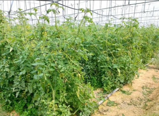 Immobile in asta di 49 m² in vendita a Noto - Foto 16