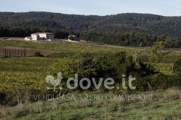 Rustico / Casale di 16000 m² con più di 5 locali in vendita a Rapolano Terme - Foto 12