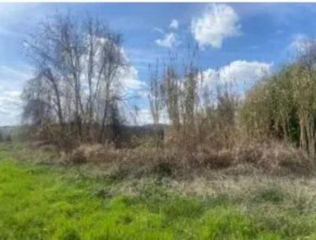 Immobile in asta di 6731 m² in vendita a Certaldo - Foto 4