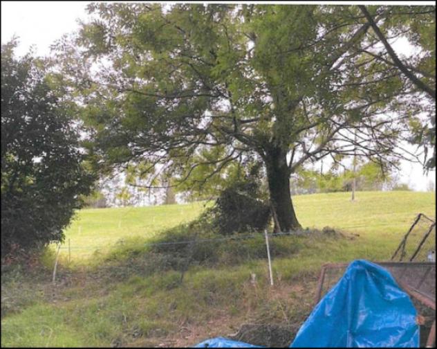 Immobile in asta di 26380 m² in vendita a Donato - Foto 18