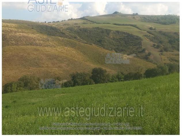 IMMOBILI-ALTRA CATEGORIA-Via Caselle, Mondaino RN, Italia - Foto 2