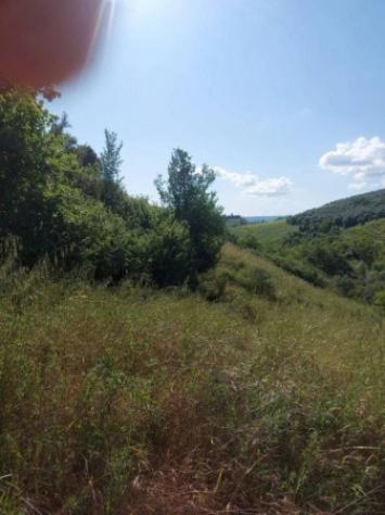 Immobile in asta di 2980 m² in vendita a Moscufo - Foto 5