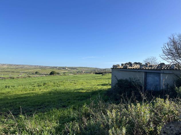 Agricolo in Contrada Renna - Foto 7