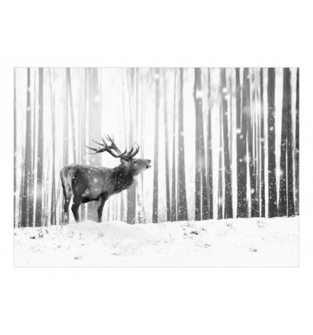 Fotomurale Adesivo In Bianco E Nero Con Un Cervo Arredalacasa - Foto 2
