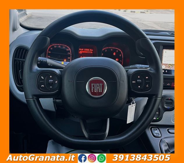 Fiat Panda 1.0 FIREFLY S&S HYBRID CITY CROSS - Foto 9