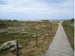 Vicino alla spiaggia